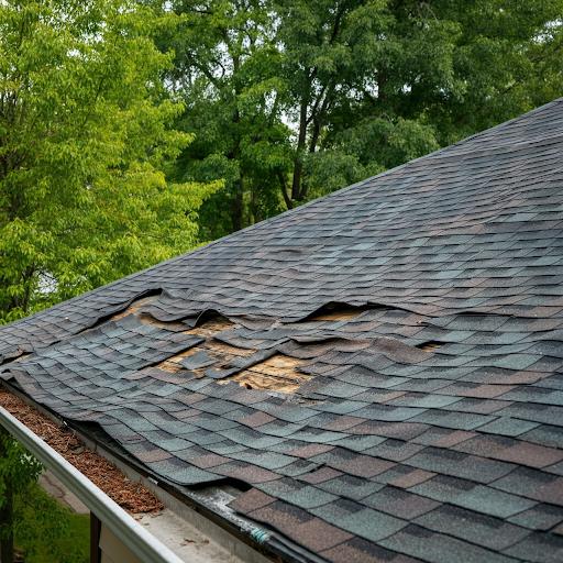 Top Warning Signs Your Roof Needs Immediate Attention